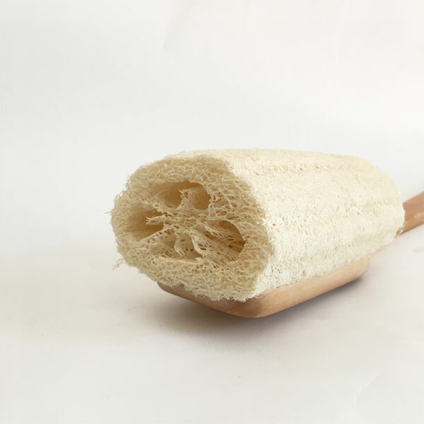 Luffa de Banho