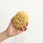 Esponja de Banho Natural Croll & Denecke