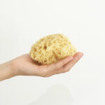 Esponja de Banho Natural Croll & Denecke